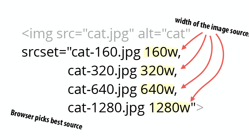 Cat picture using srcset